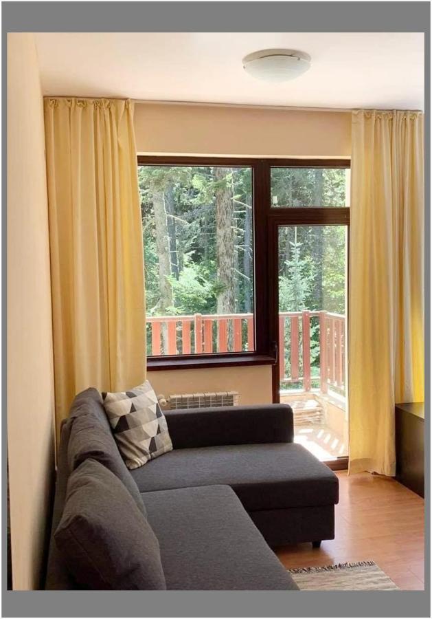 Flora Ski-slope Studio Apartment Borovets Esterno foto