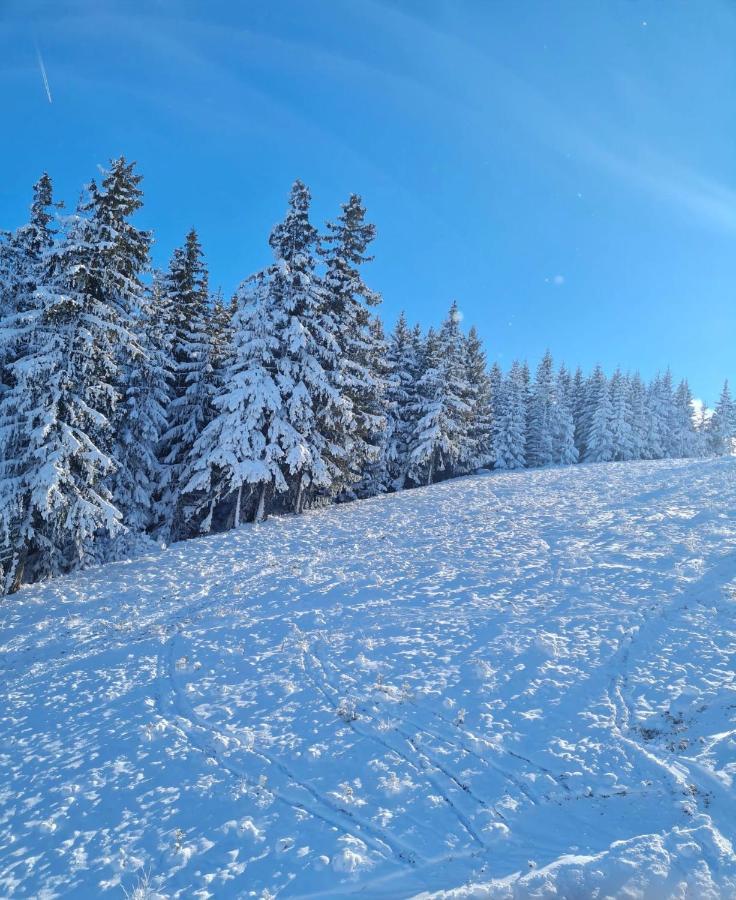 Flora Ski-slope Studio Apartment Borovets Esterno foto