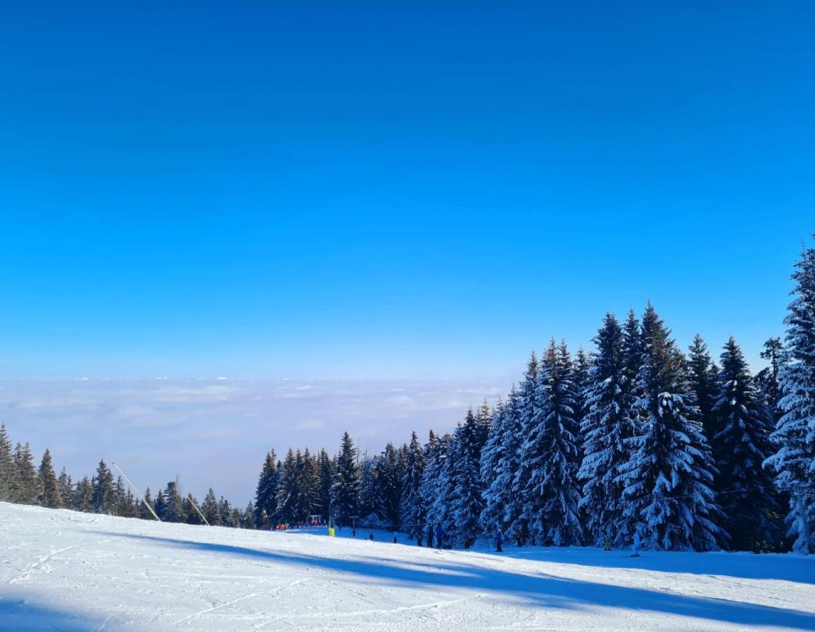Flora Ski-slope Studio Apartment Borovets Esterno foto