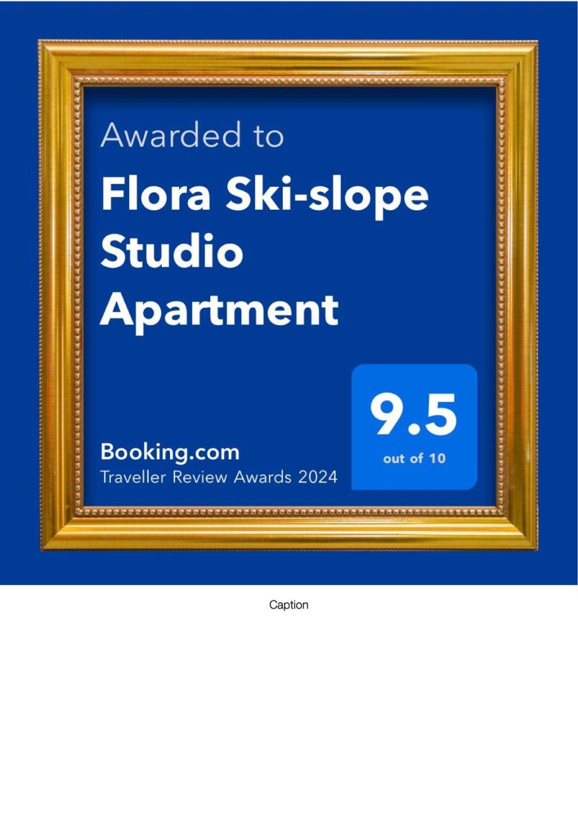Flora Ski-slope Studio Apartment Borovets Esterno foto